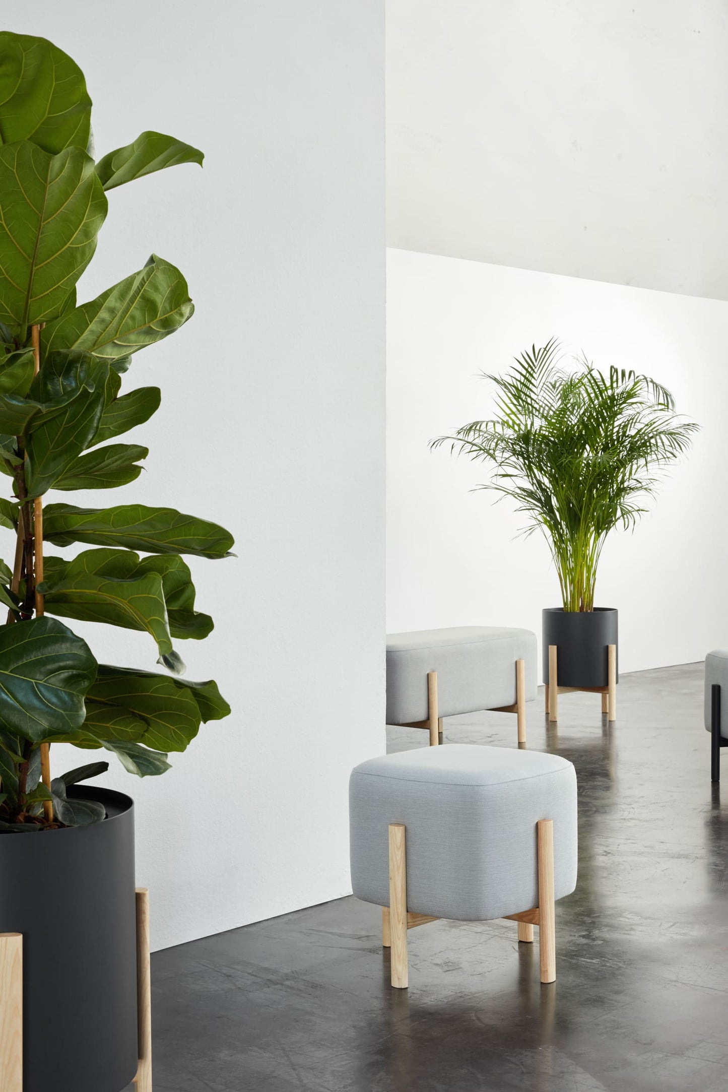 Ashi Hydroplanter-Contract Furniture Store