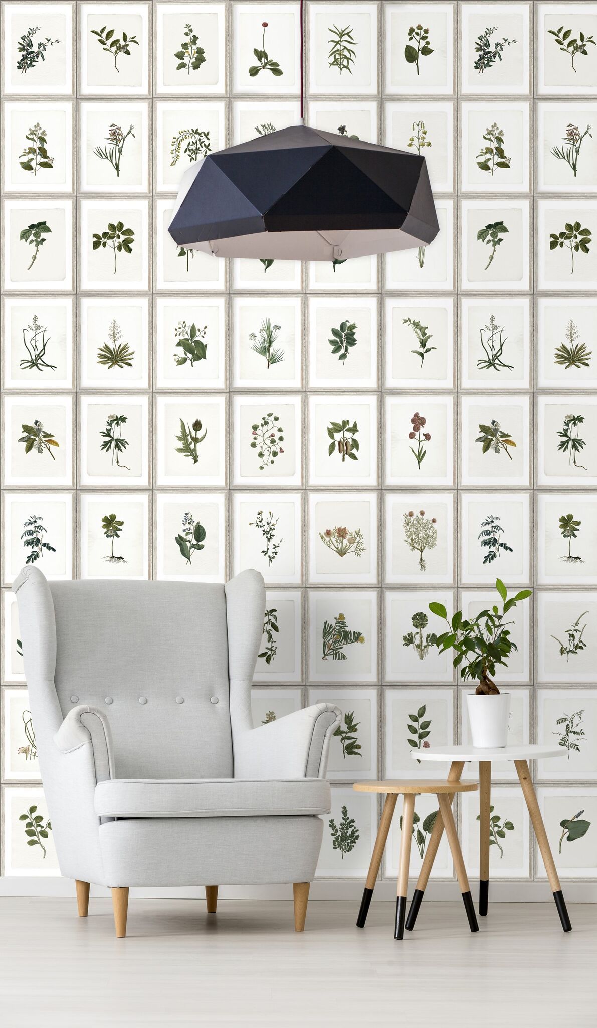 Botany Wallpaper-Contract Furniture Store for hospitality, leisure & commercial projects