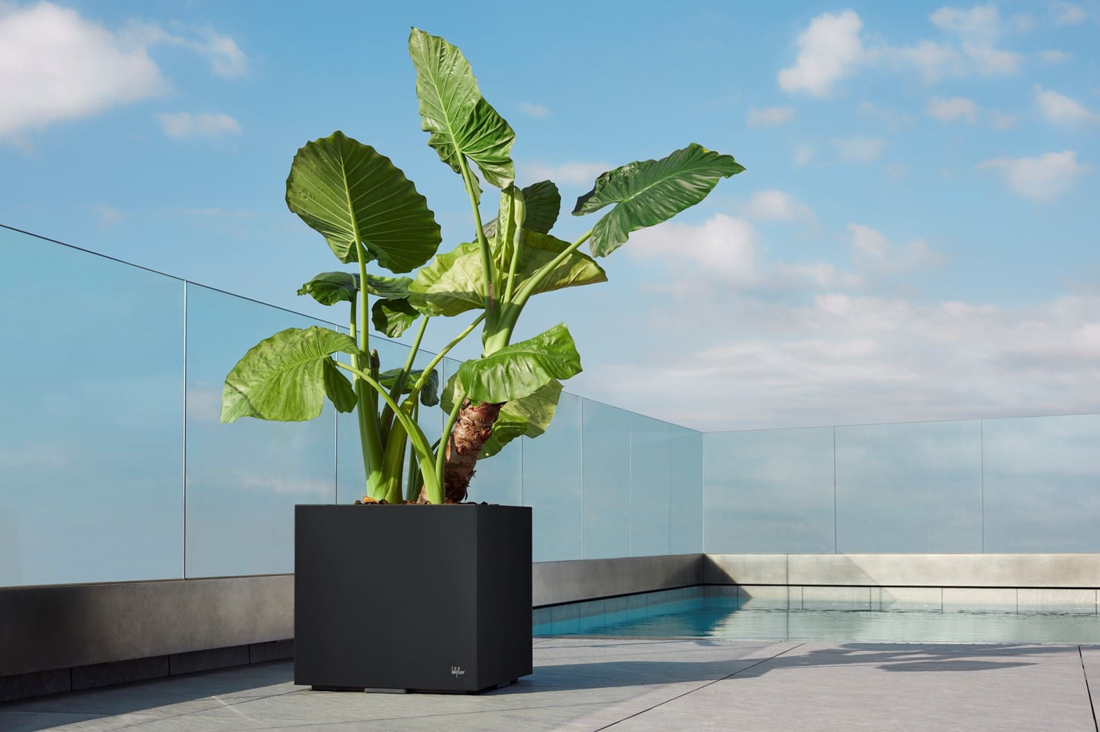 City Plus Hydroplanter-Contract Furniture Store