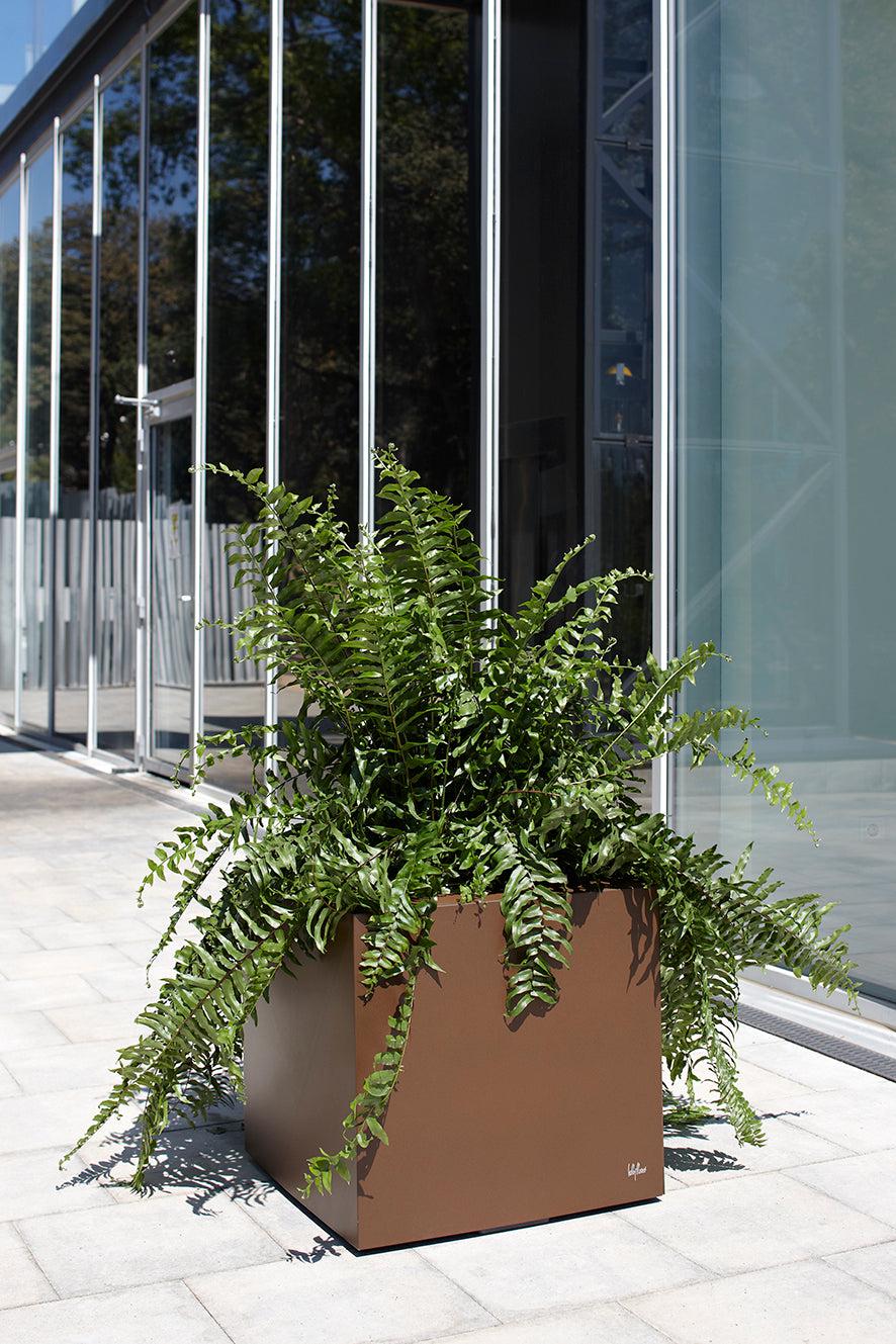 City Plus Hydroplanter-Contract Furniture Store