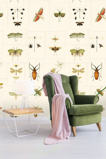 Entomology Wallpaper-Contract Furniture Store for hospitality, leisure & commercial projects