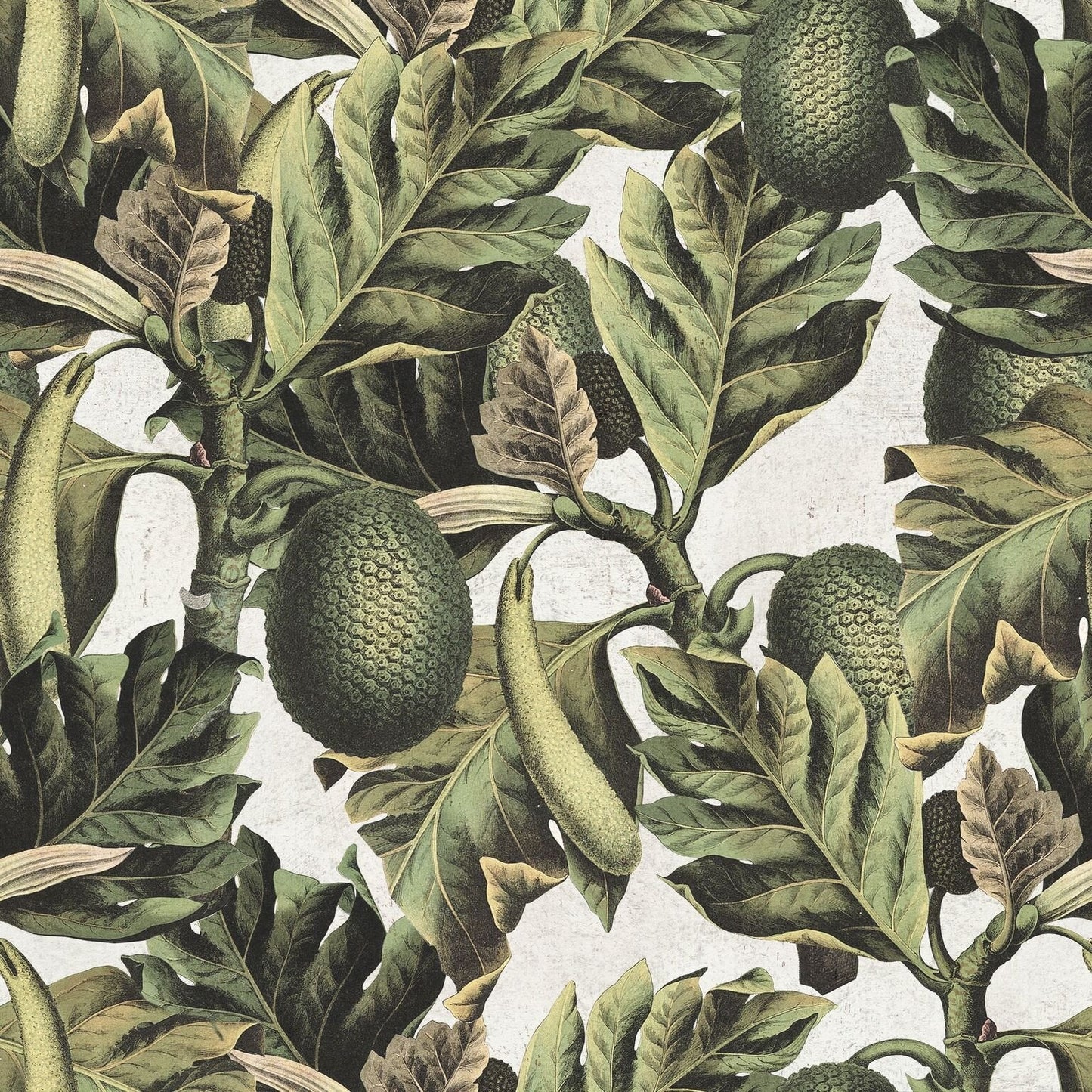 Exotic Fruit I Wallpaper-Contract Furniture Store for hospitality, leisure & commercial projects