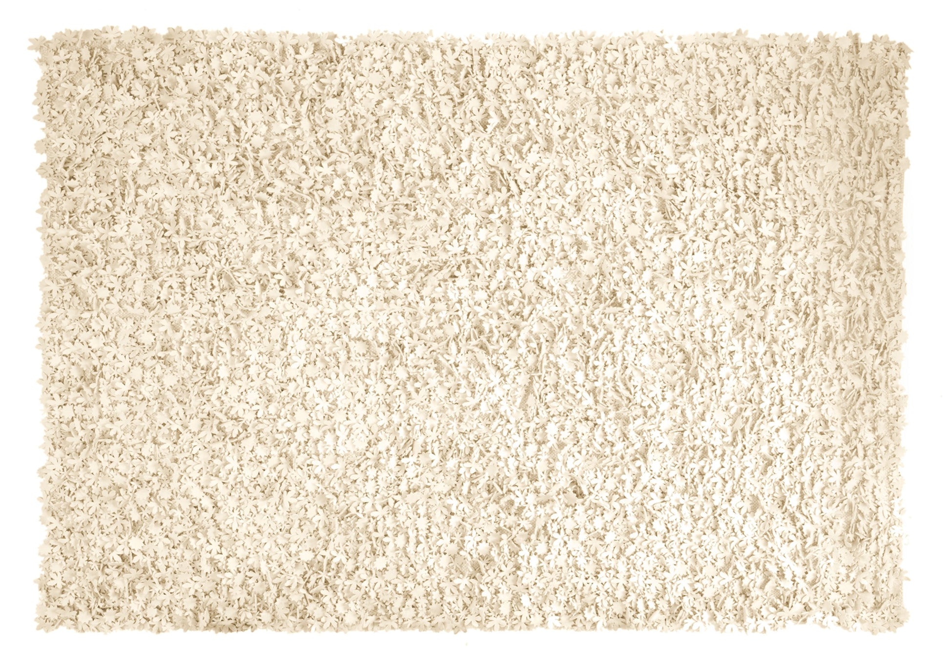 Little Field Of Flowers Ivory Rug-Nanimarquina-Contract Furniture Store