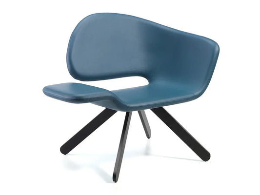 Nalì Lounge Chair-Gaber-Contract Furniture Store