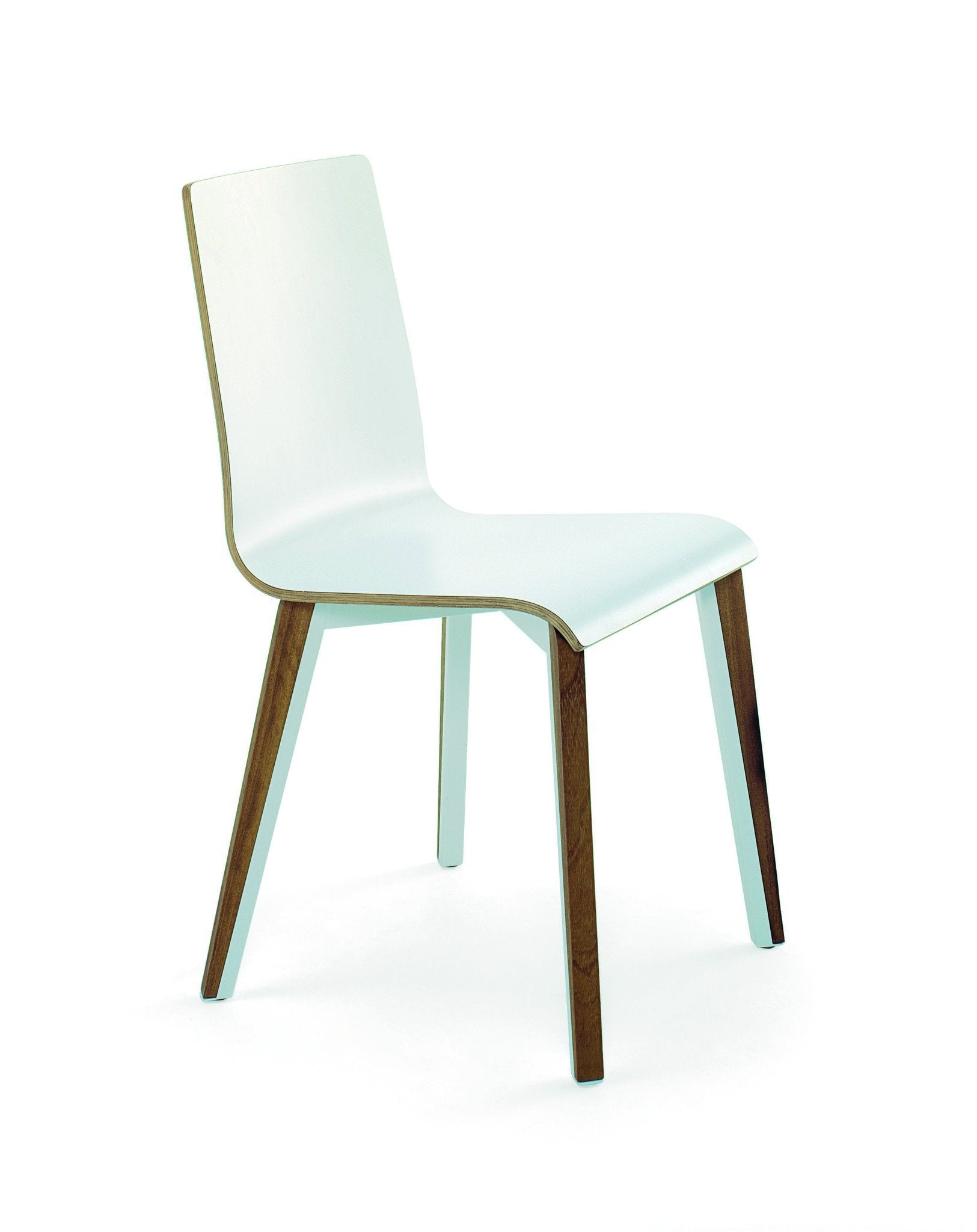 Toby Hybrid Side Chair-Cignini-Contract Furniture Store