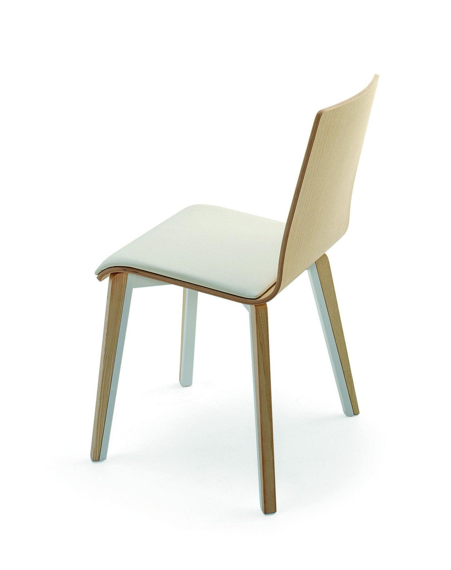 Toby Hybrid Side Chair-Cignini-Contract Furniture Store