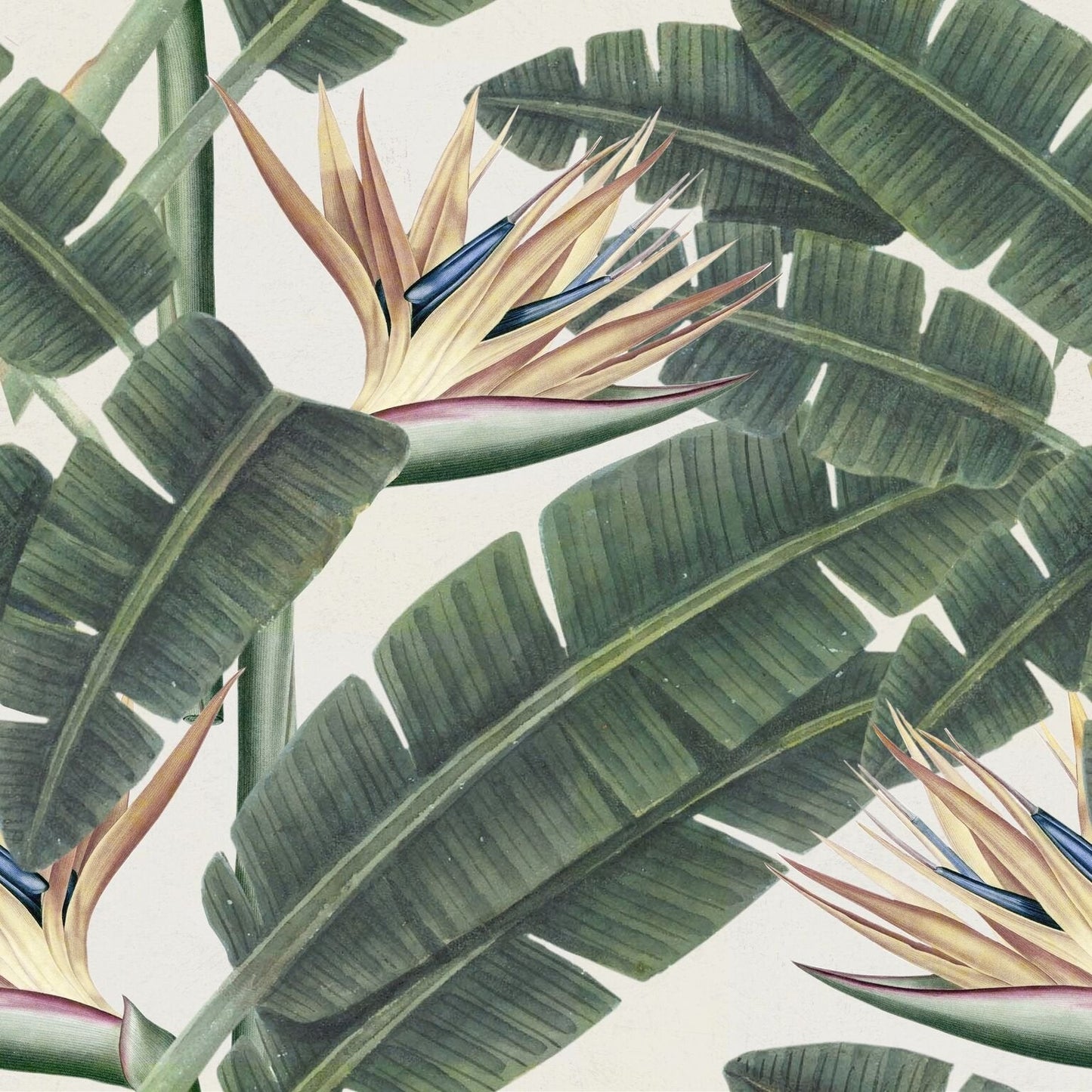 Tropical Bloom Wallpaper-Mind The Gap-Contract Furniture Store