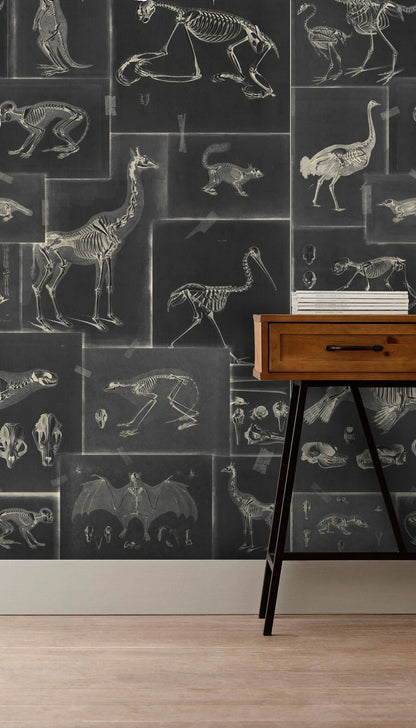 Zooarchaeology Anthracite Wallpaper-Contract Furniture Store for hospitality, leisure & commercial projects